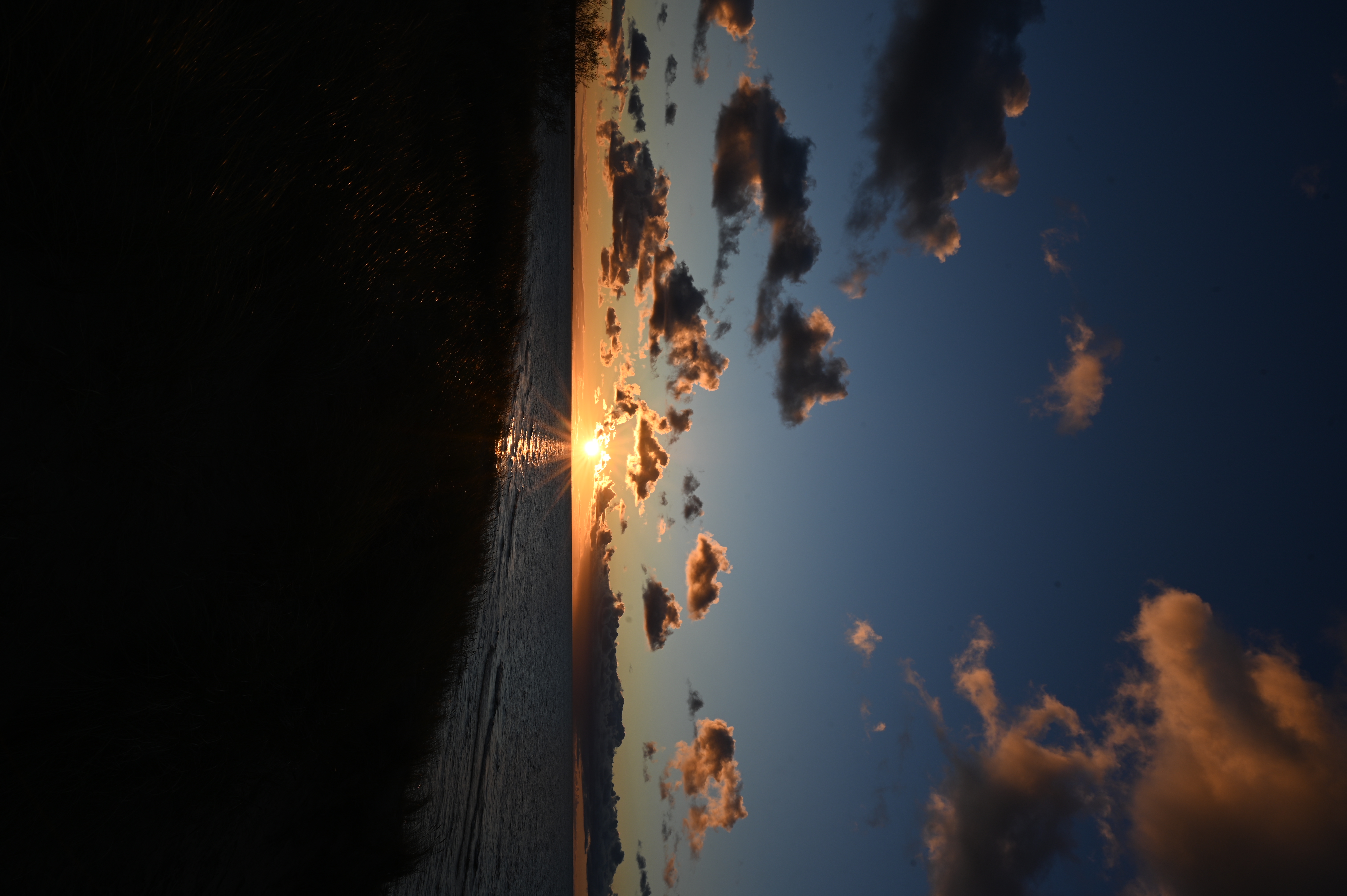 2025/10/18 - walk/DSC_0393.JPG